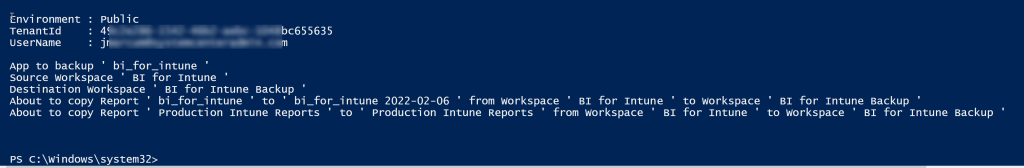 Backup Workspace - Output