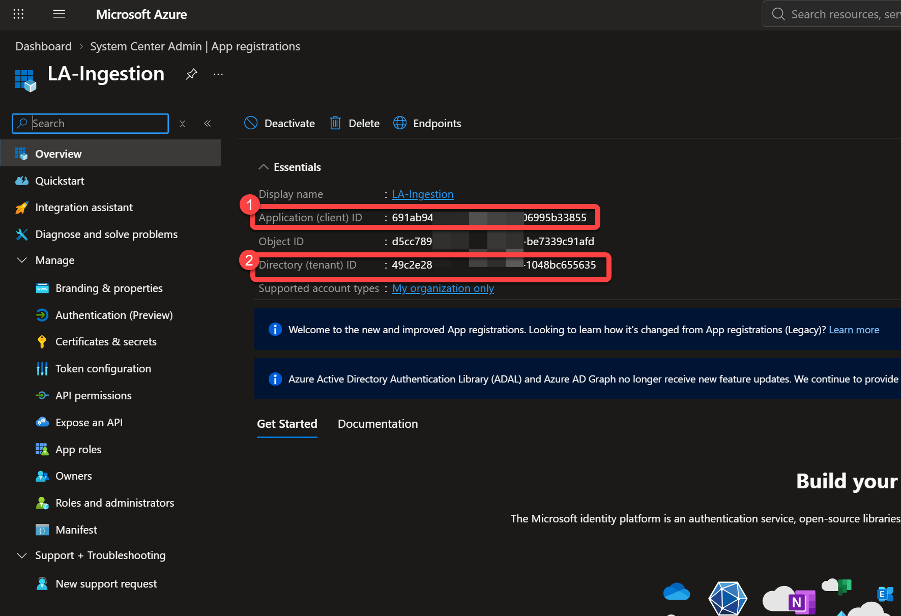 App registration Overview showing Client and Tenant IDs